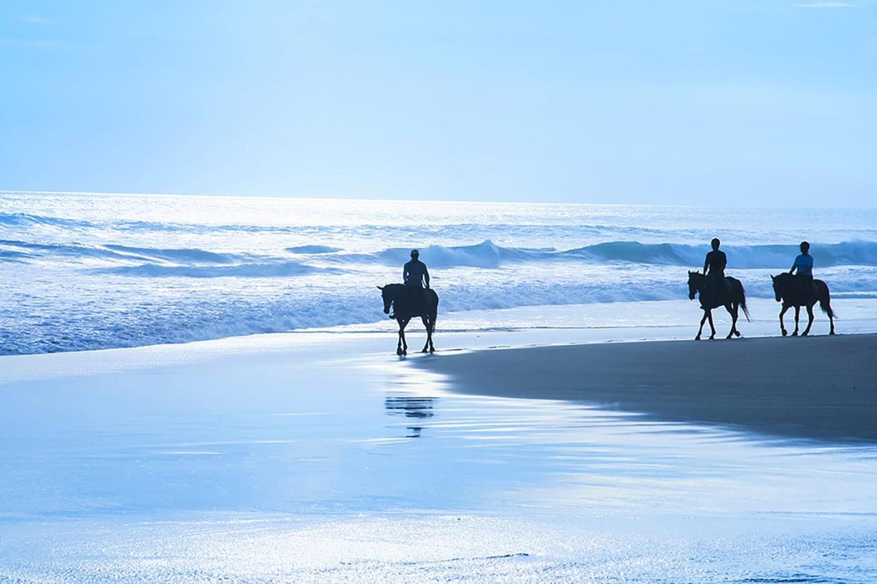 Montara Beach Mountain Escape Εξωτερικό φωτογραφία